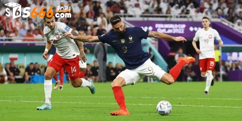 Lịch sử đối đầu 2 đội Pháp vs Ba Lan