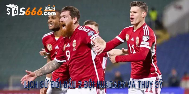 Lịch sử đối đầu 2 đội Hungary và Thuỵ Sỹ