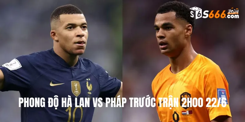 Phong độ trước trận của hai đội bóng Hà Lan vs Pháp